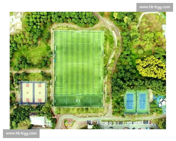 以全民健身背景下体育场馆安全治理体系现代化建设路径研究提升对策