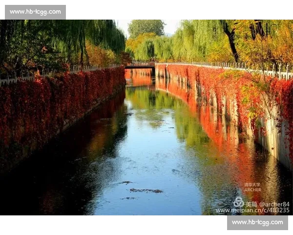 经典赛事回放全景解析重温巅峰对决精彩瞬间与关键时刻深度复盘看